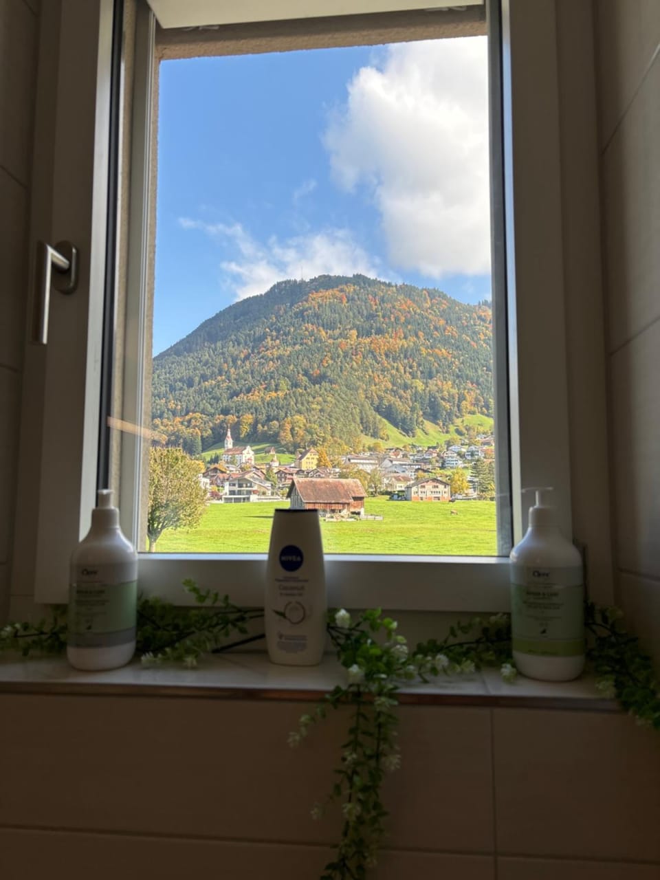 Bathroom, Mountain view