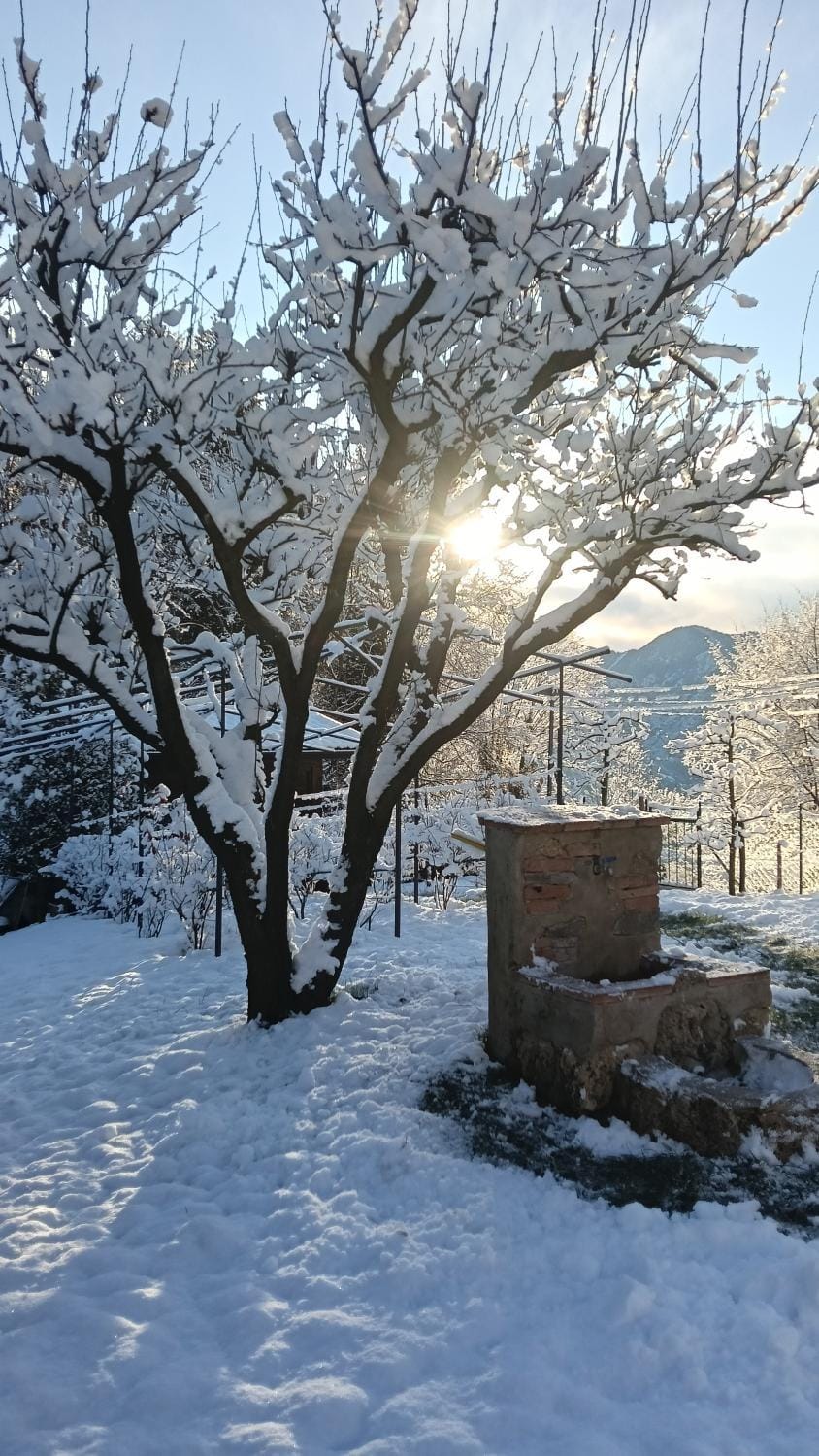 Winter