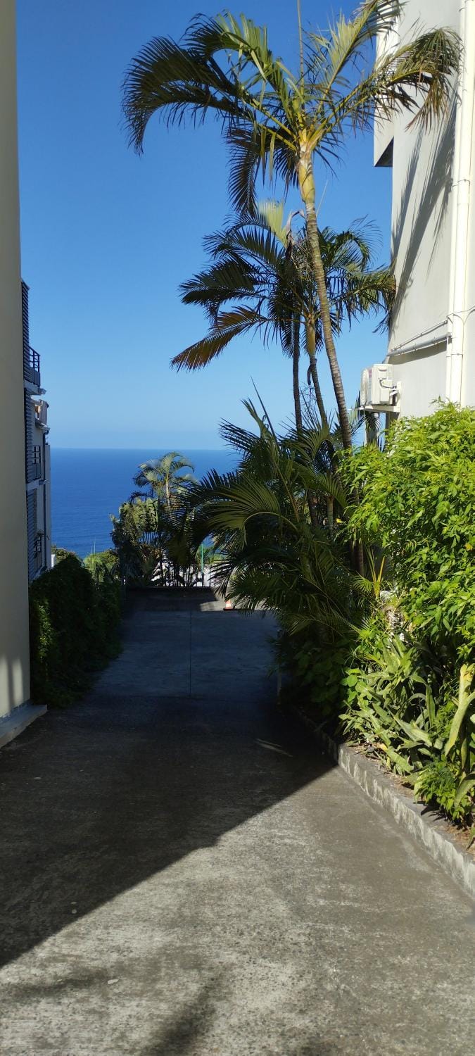 Your T1 bis Cozy at Les Avirons awaits you! La Cas' à Maya House in Saint-Leu