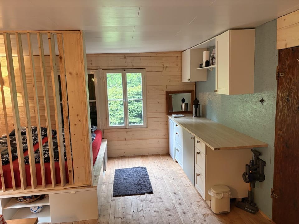 Kitchen or kitchenette, kitchen, kitchen