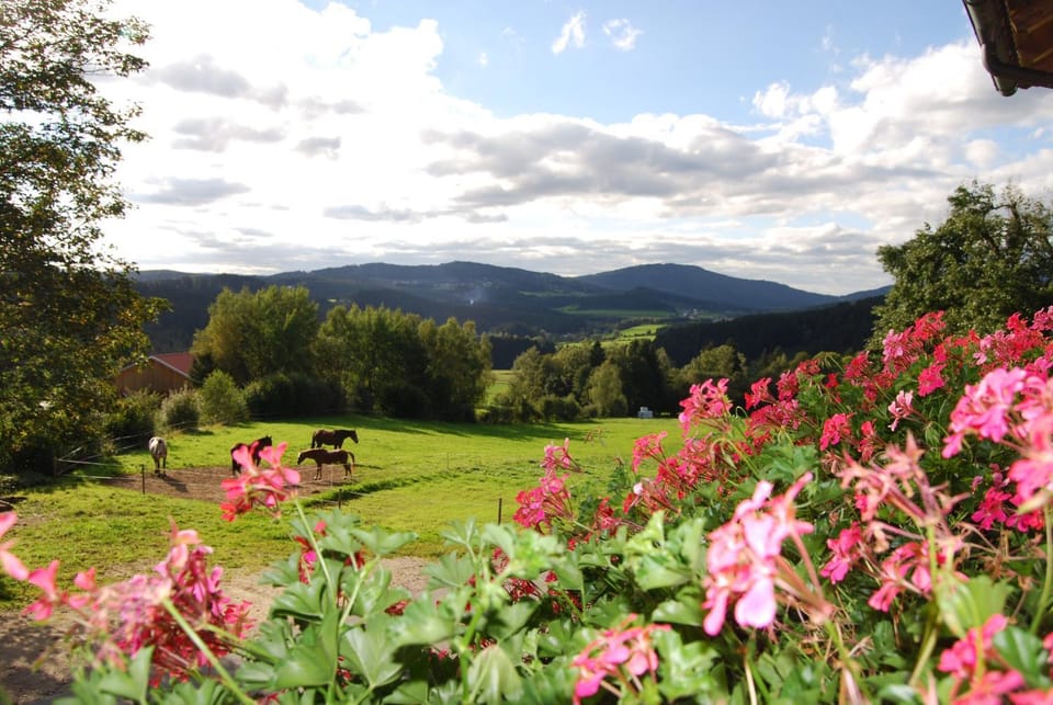 Balcony/Terrace, Mountain view