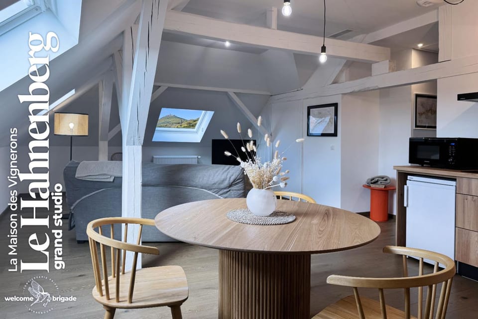 Kitchen or kitchenette, Dining area, microwave, stove