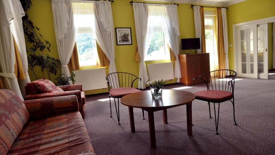 FESTIVAL Apartments Apartment in Saxony