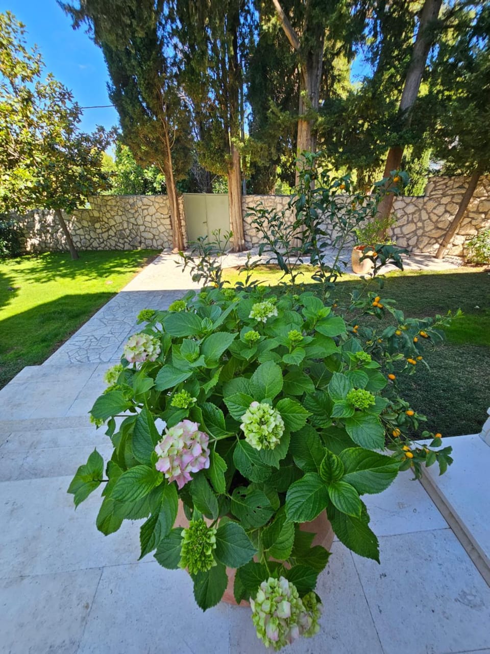 Spring, Garden