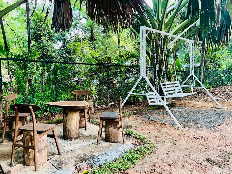 Day, Garden, Garden, Garden view