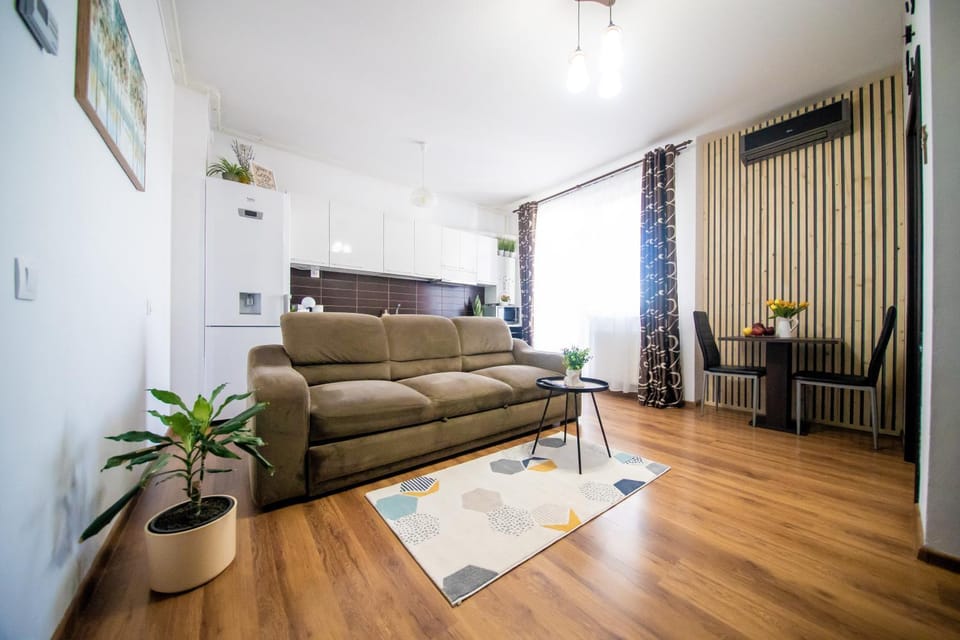 Penthouse View Apartment in Timiș County