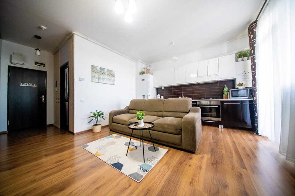Penthouse View Apartment in Timiș County