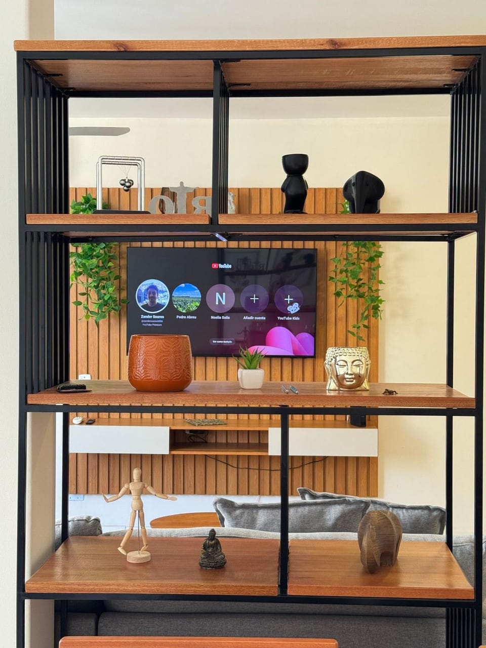 TV and multimedia