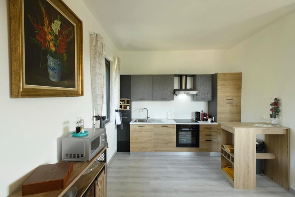 Kitchen or kitchenette, Dining area, dishwasher, oven, stove