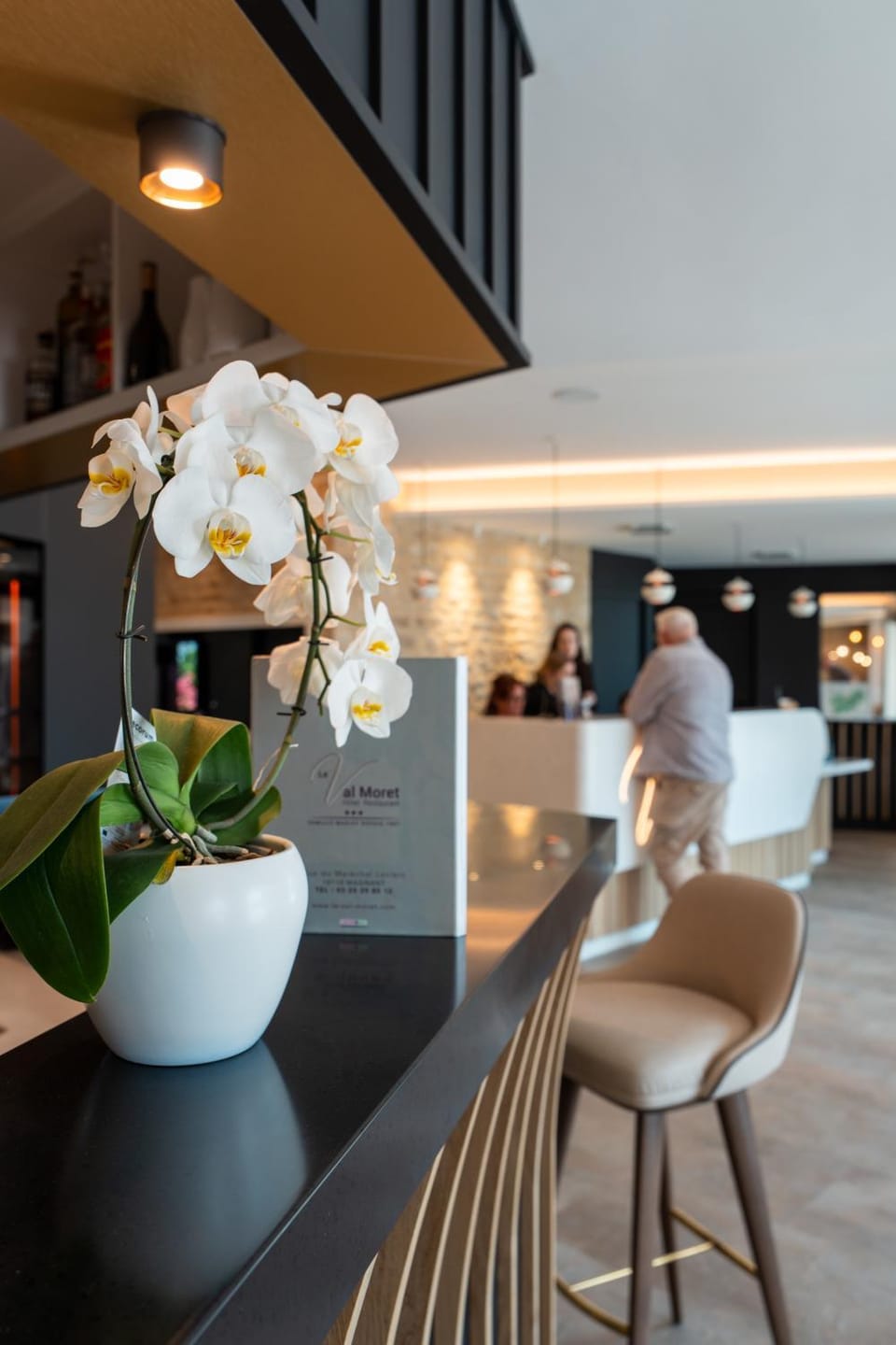 Lounge or bar