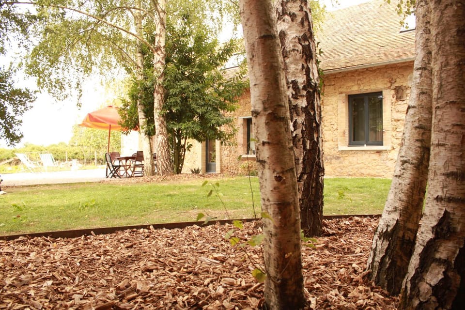 Property building, Garden, Garden view