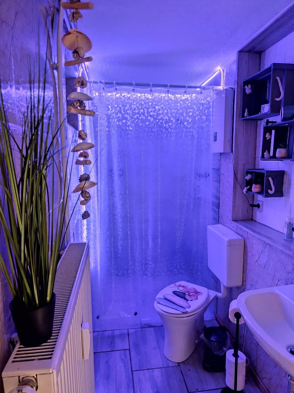 Shower, Toilet, Bathroom, washing machine