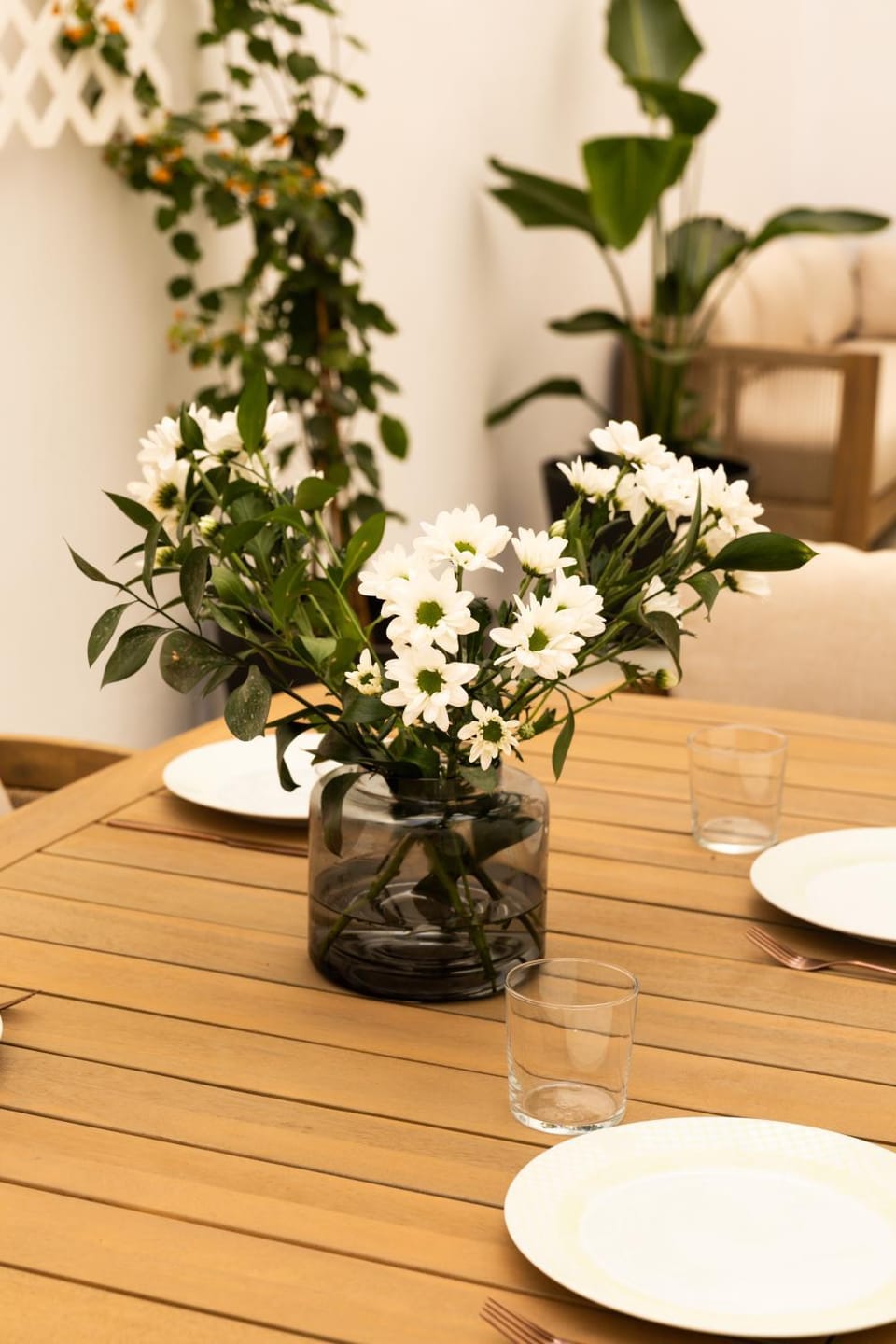 Patio, Dining area