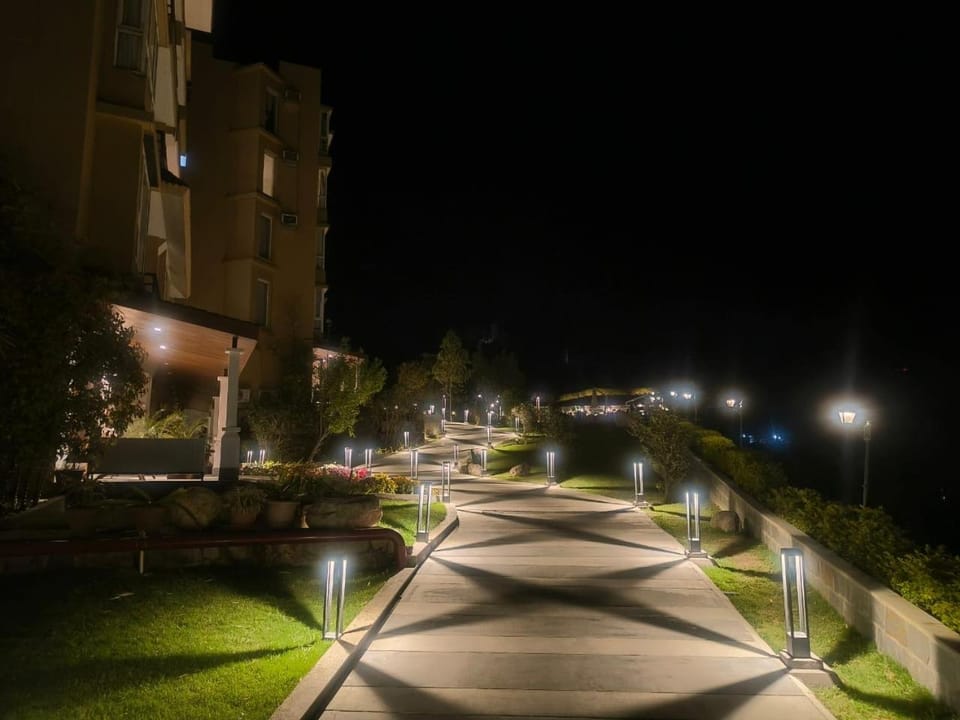Night, Garden view