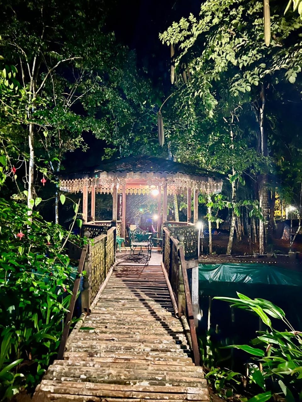 Rahsia Riverside Orchard Campsite at Janda Baik , Pahang Campground/ 
RV Resort in Selangor, Malaysia