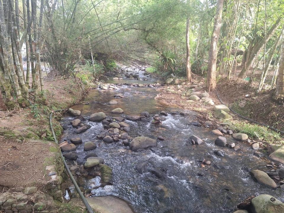 Rahsia Riverside Orchard Campsite at Janda Baik , Pahang Campground/ 
RV Resort in Selangor, Malaysia