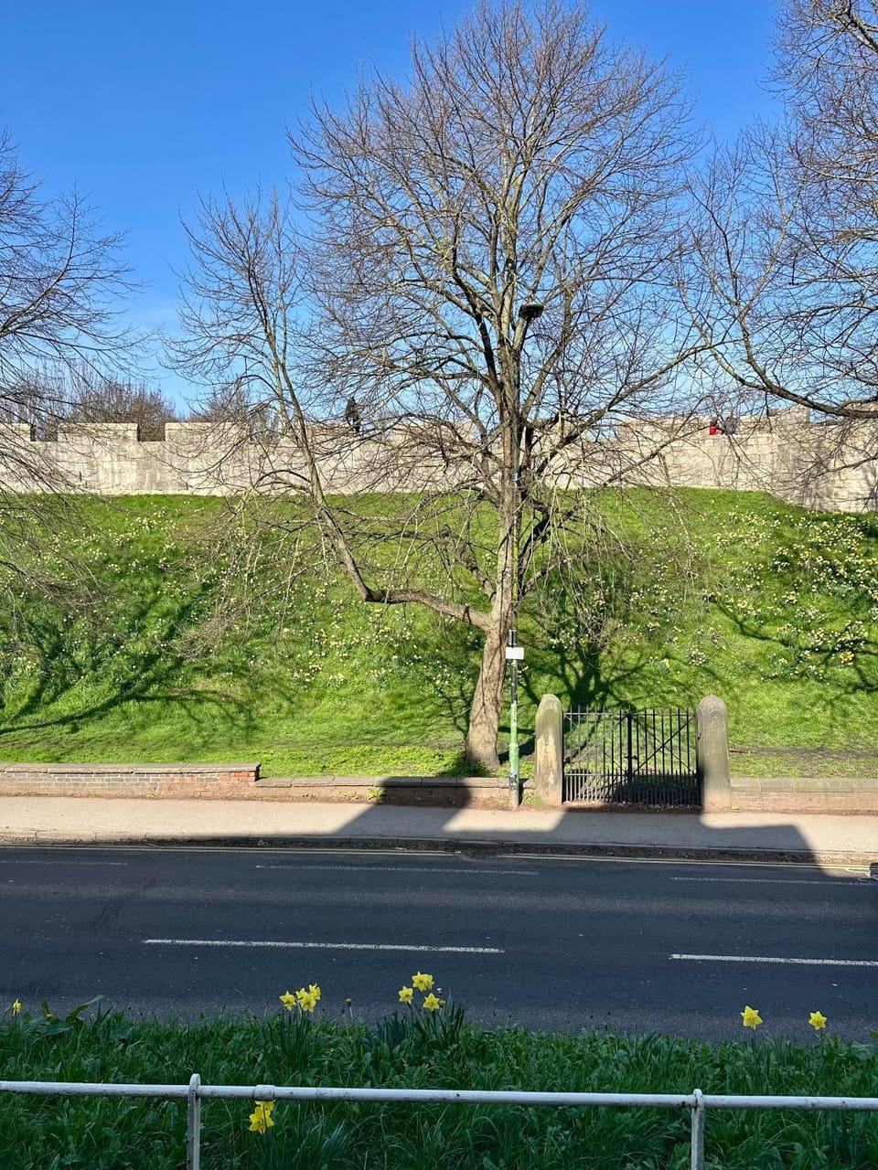 Nearby landmark, Natural landscape