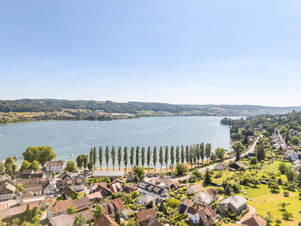 Bird's eye view, Lake view