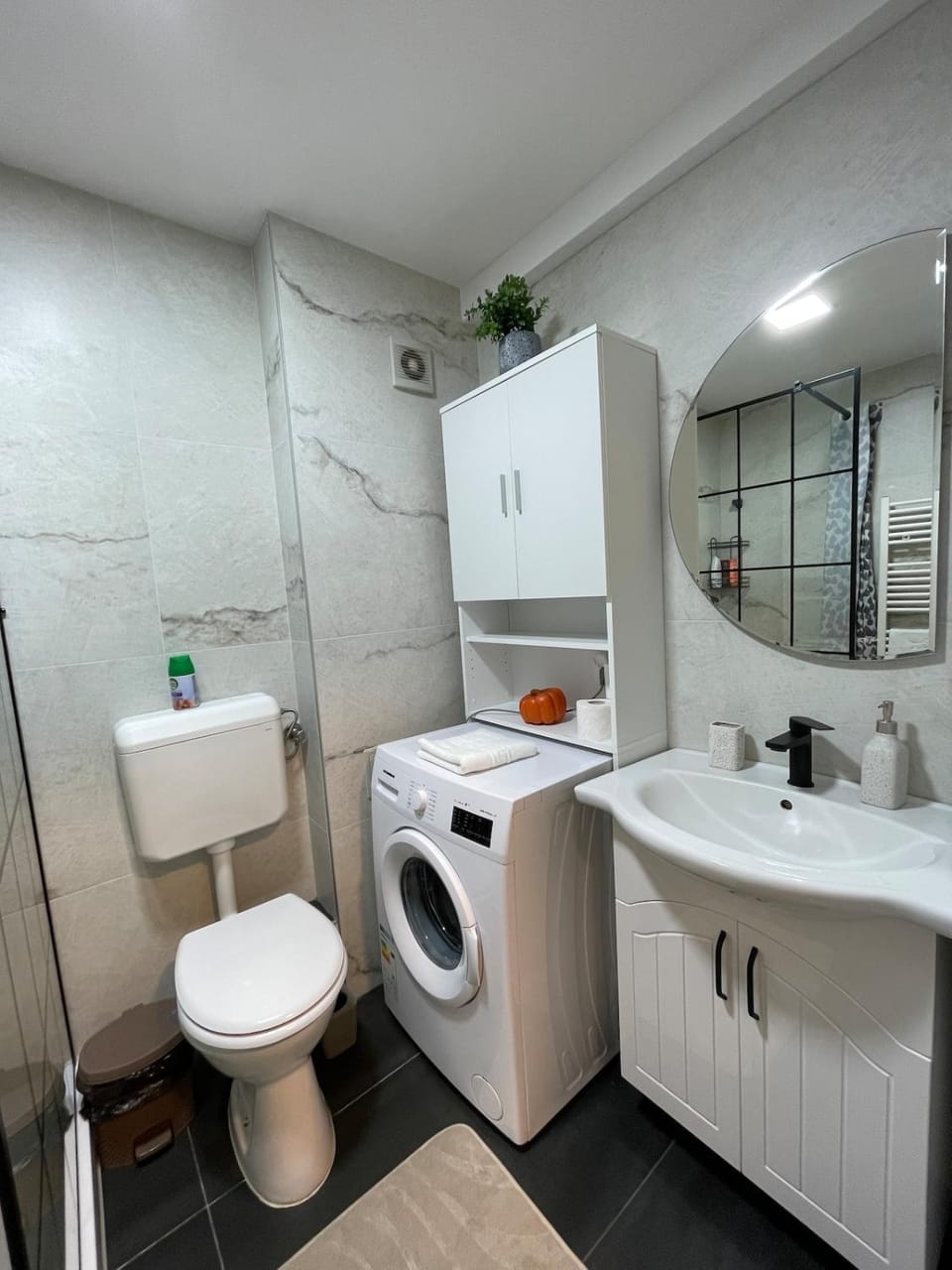 Charming Flat Apartment in Timiș County