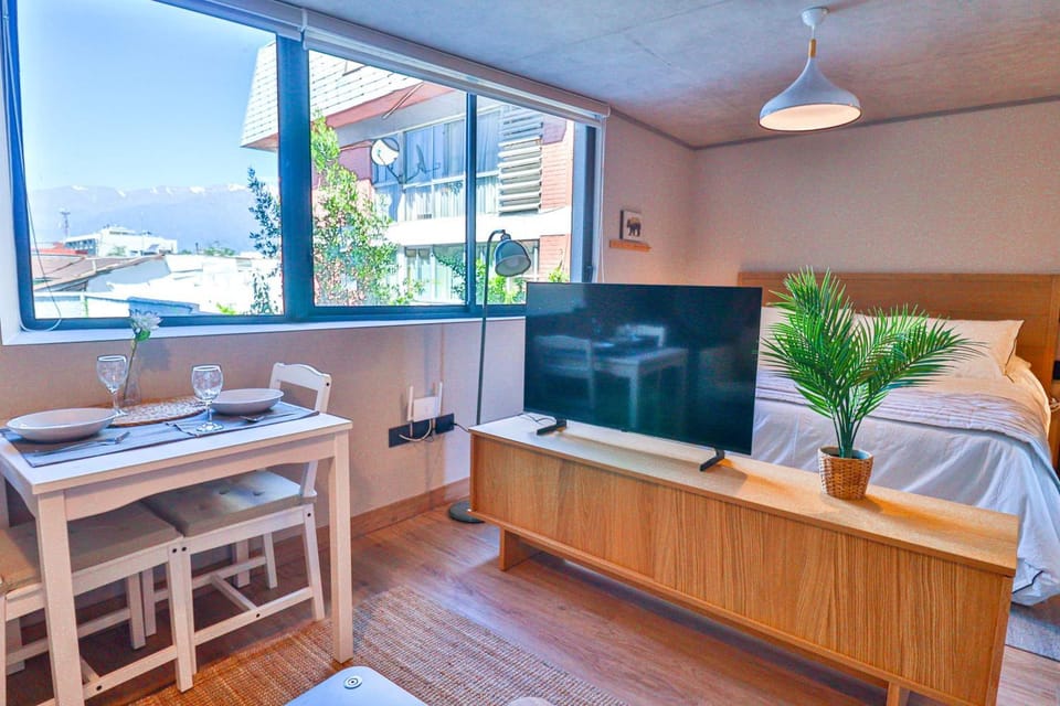 HOM I Barrio Italia I Providencia I WIFI I 2PAX GB502 Apartment in Providencia