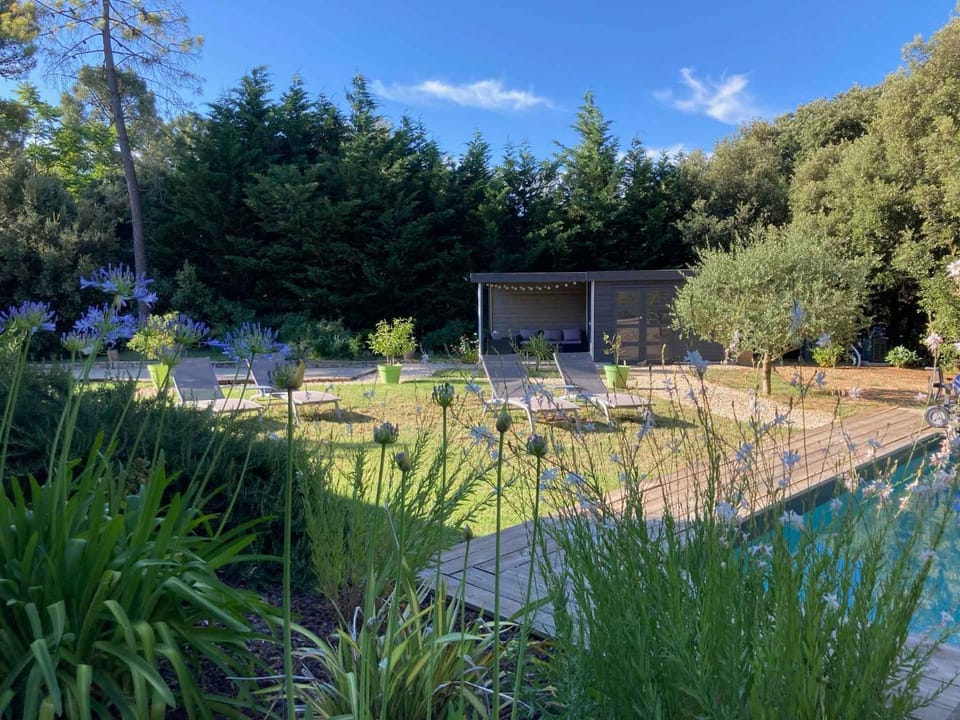 Day, Natural landscape, Garden, Garden view, Pool view, Swimming pool