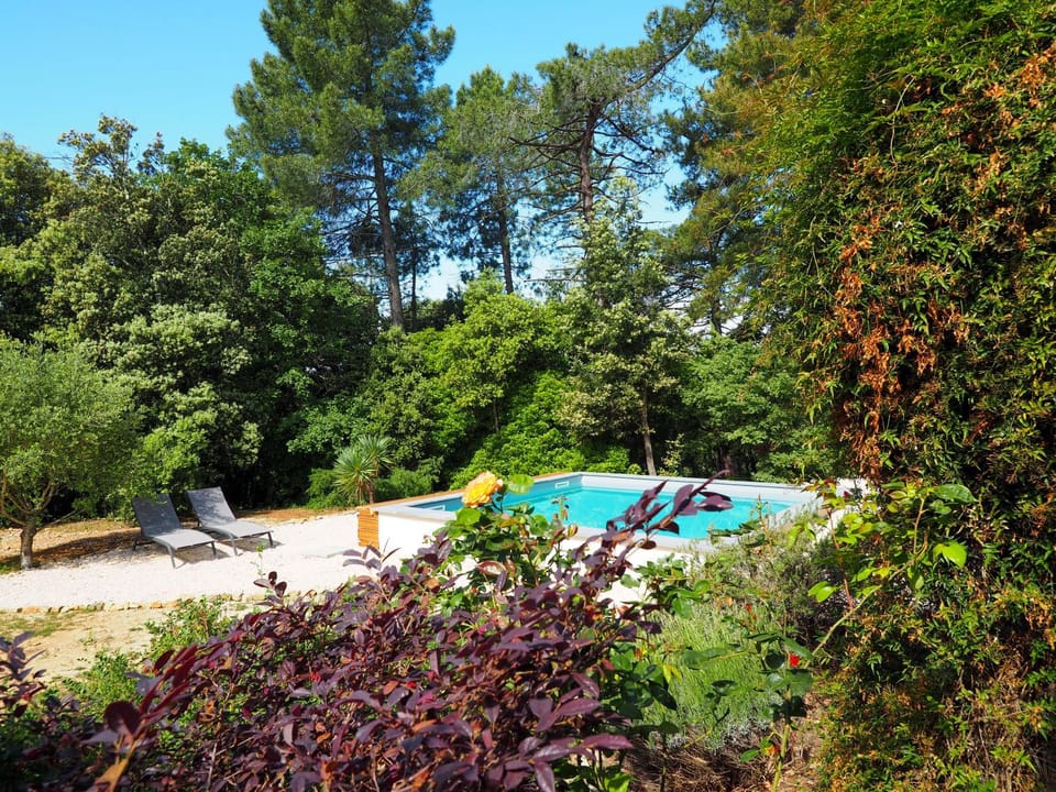 Natural landscape, Garden, Swimming pool, sunbed