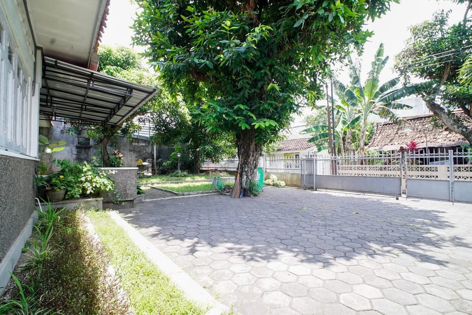 Property building, Neighbourhood, Garden, Garden view, Street view