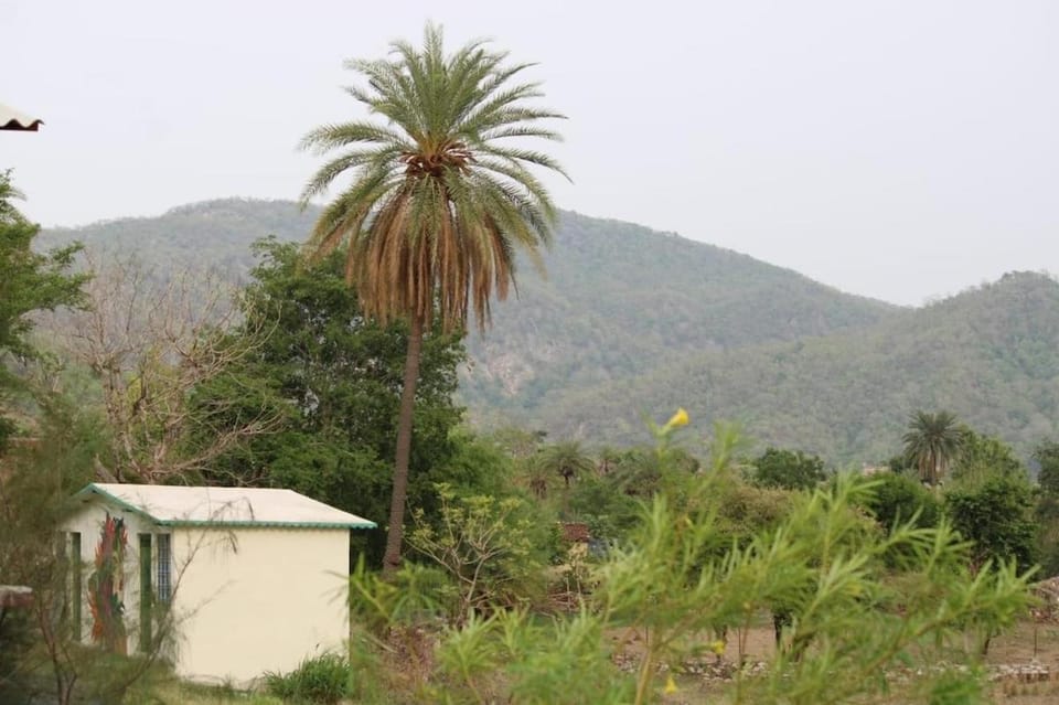 Forest Farm Villa in Rajasthan