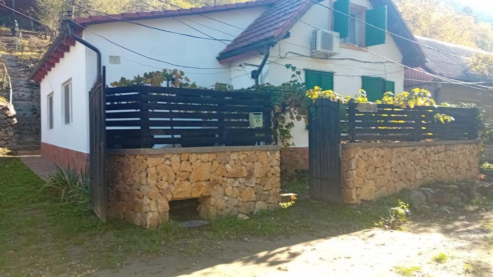 Casa de Vacanta Șușara House in Romania