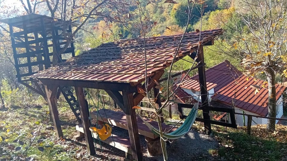 Casa de Vacanta Șușara House in Romania