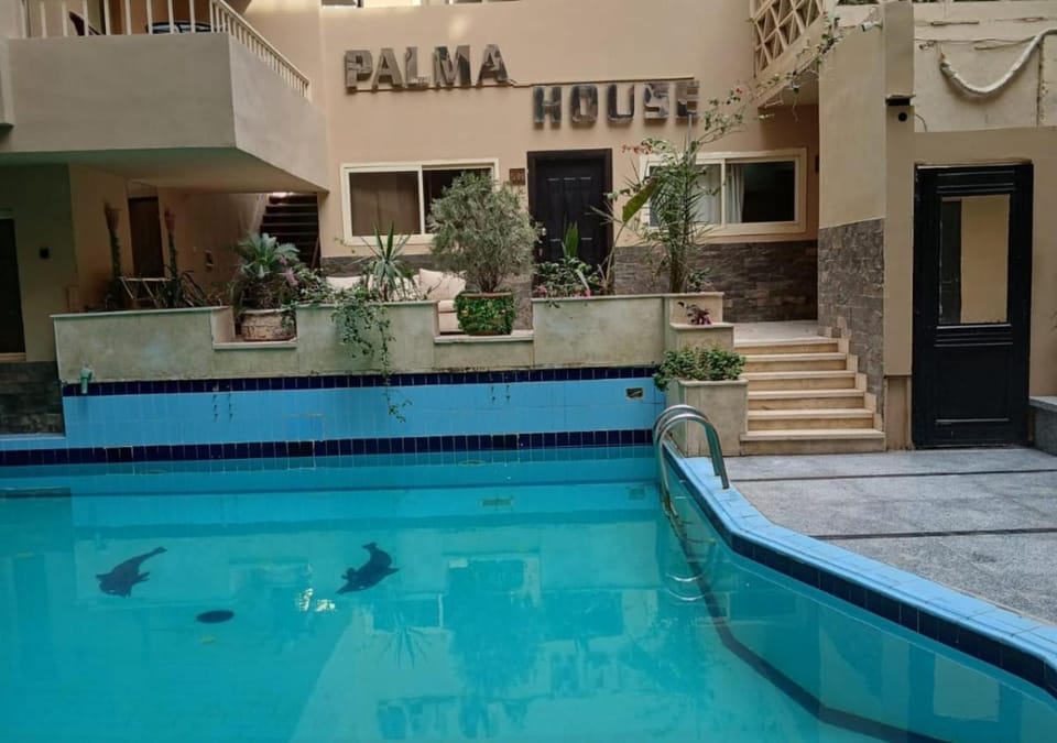 Property building, Patio, Day, Pool view, Swimming pool