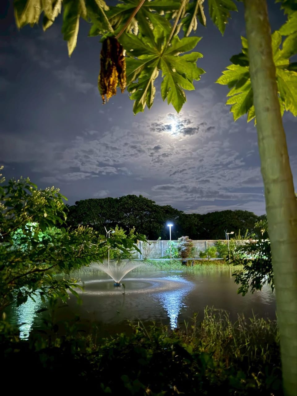 Natural landscape