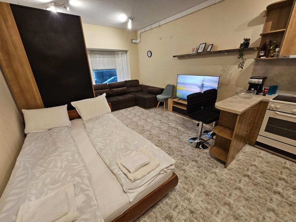 Communal lounge/ TV room, Bed, TV and multimedia, Kitchen or kitchenette, Photo of the whole room, Dining area, Evening entertainment, Bedroom, oven, stove