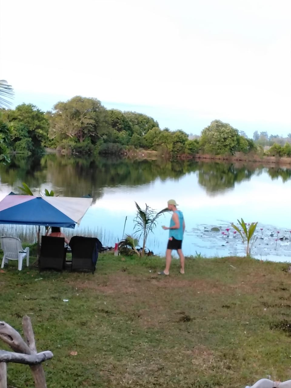 Lake view
