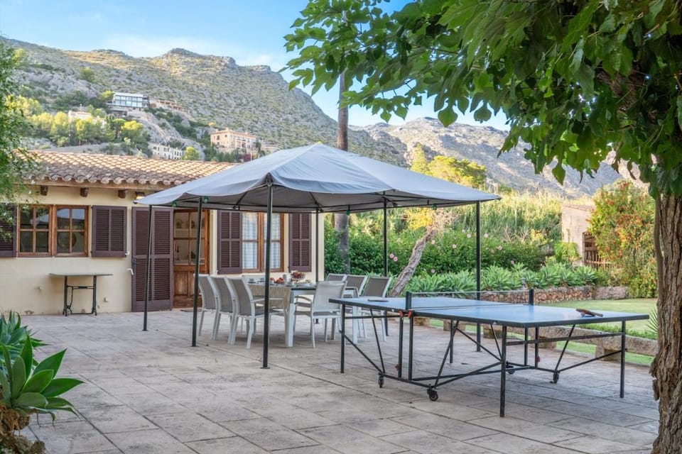Patio, Natural landscape, Garden, Garden view