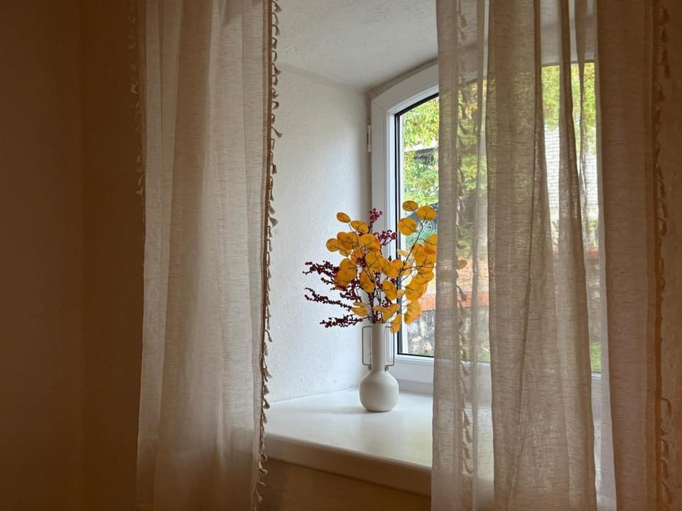 The 1st Apartment Apartment in Latvia