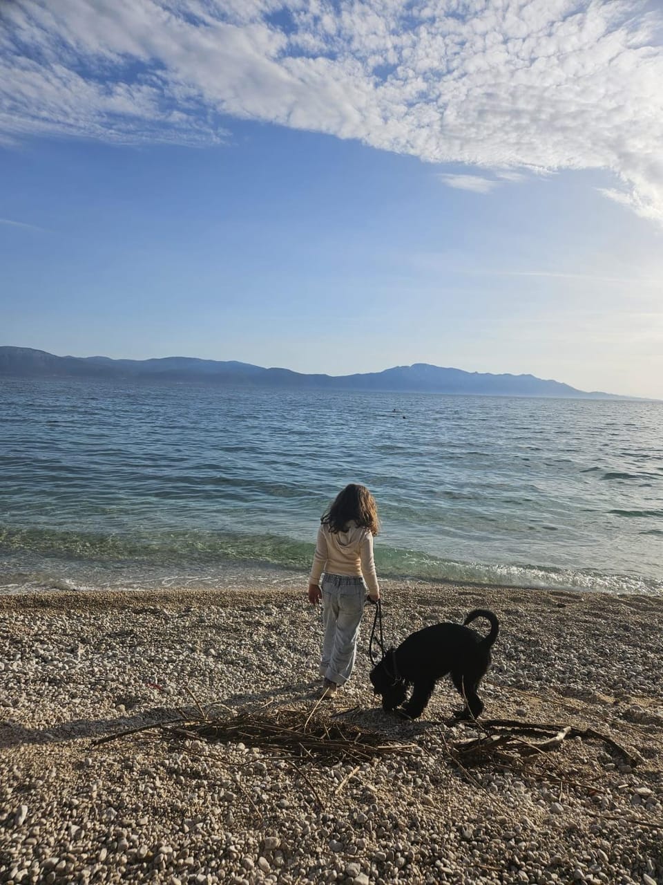 Day, Natural landscape, Bathroom, Beach, Pets, children