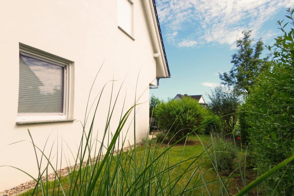Property building, Garden view