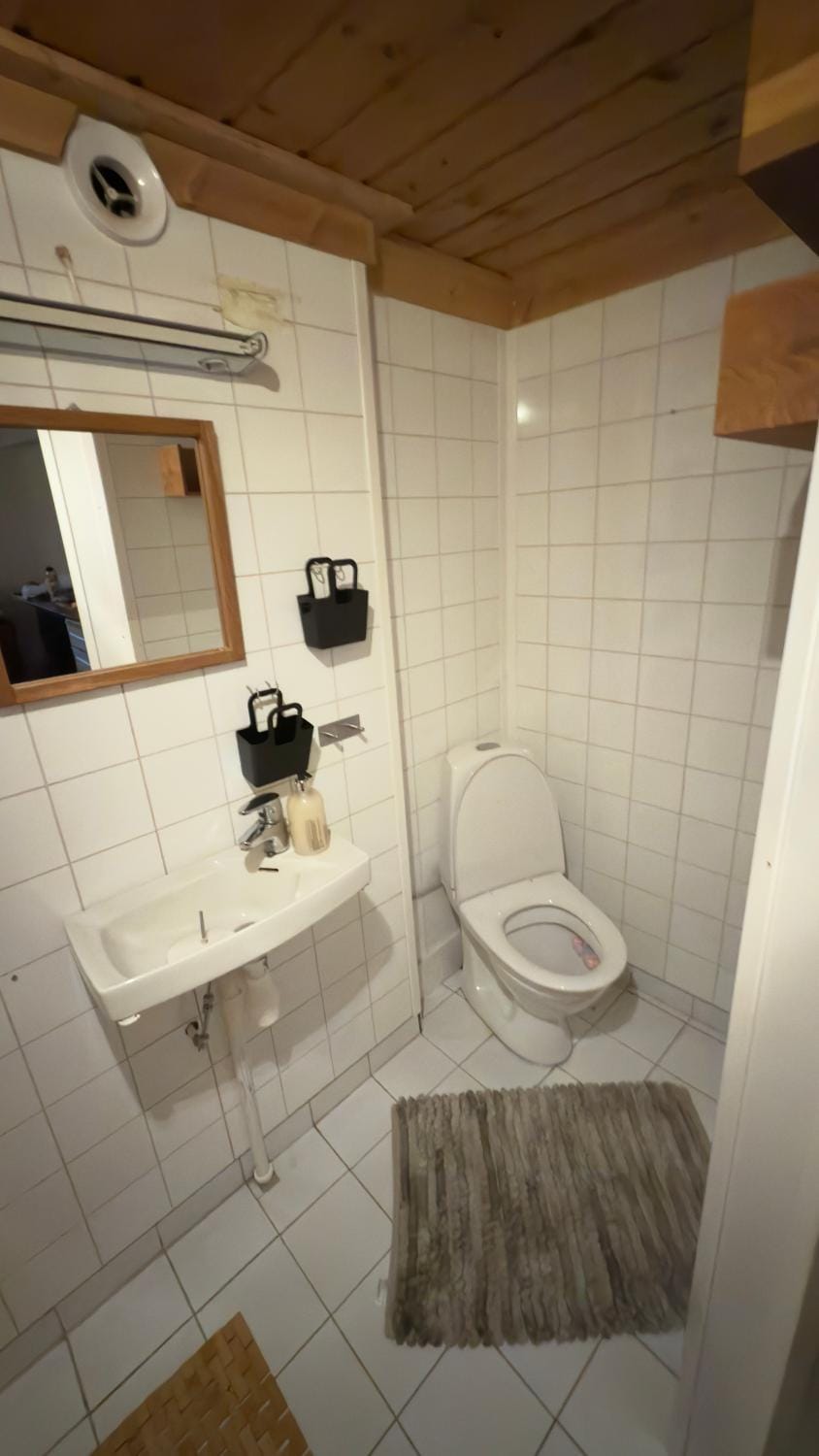 PAX -In The Heart of the Aurora Borealis Apartment in Tromso