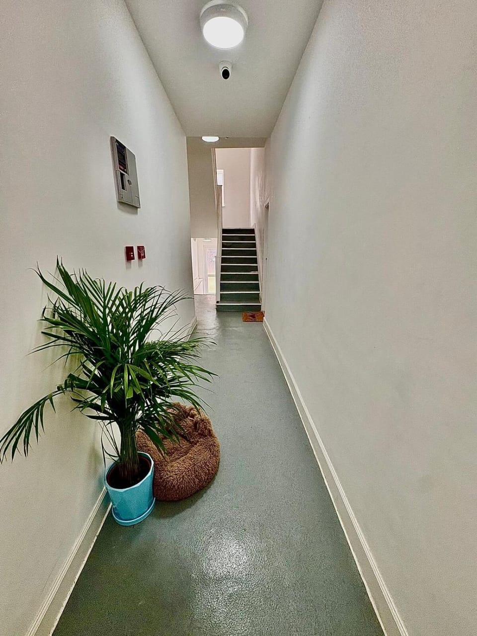 Luxury Apartment with Grand Living Space London Apartment in London Borough of Islington