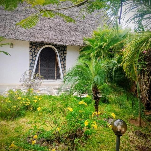 Garden, Garden, Garden view