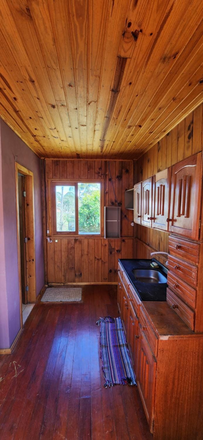 Kitchen or kitchenette, pet friendly