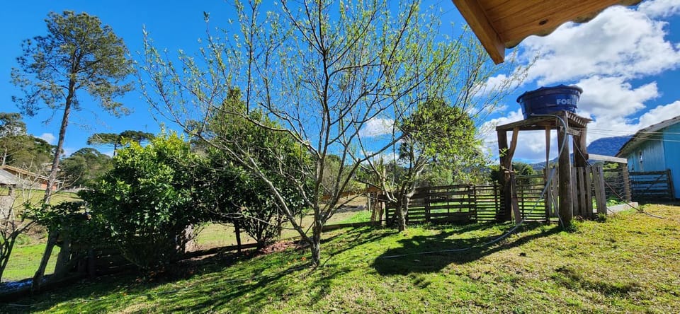 Natural landscape, Garden