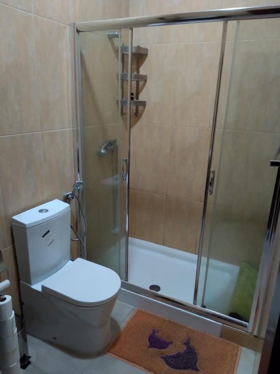 Shower, Toilet, Bathroom
