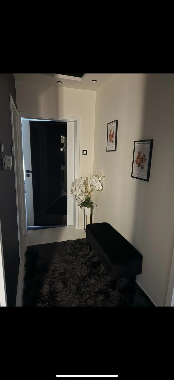 Black&White Deluxe Apartment in Slovakia