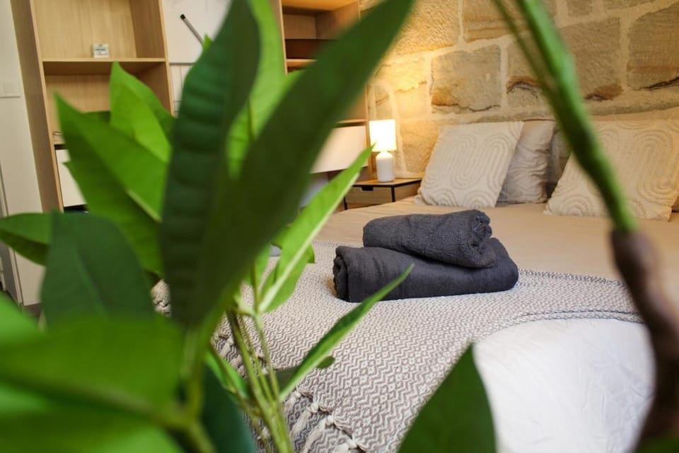 Cozy Air-Conditioned - Central - Close to Train Station Apartment in Nouvelle-Aquitaine
