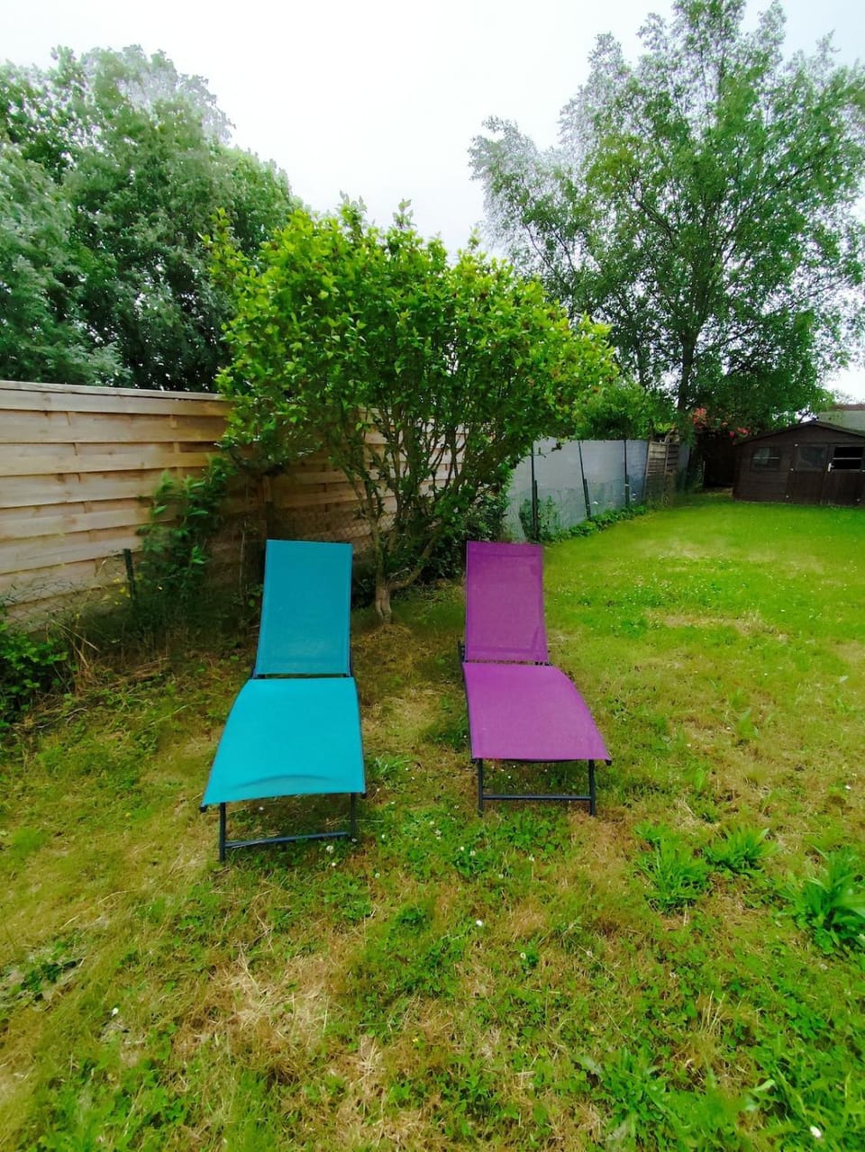 Garden, Garden view, sunbed