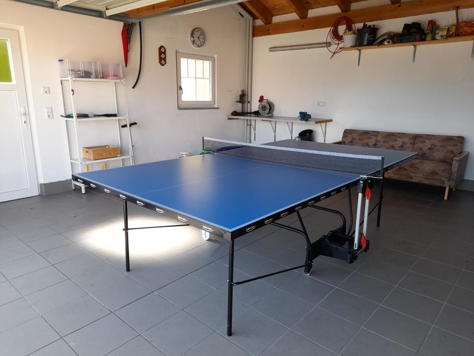 Activities, Table tennis