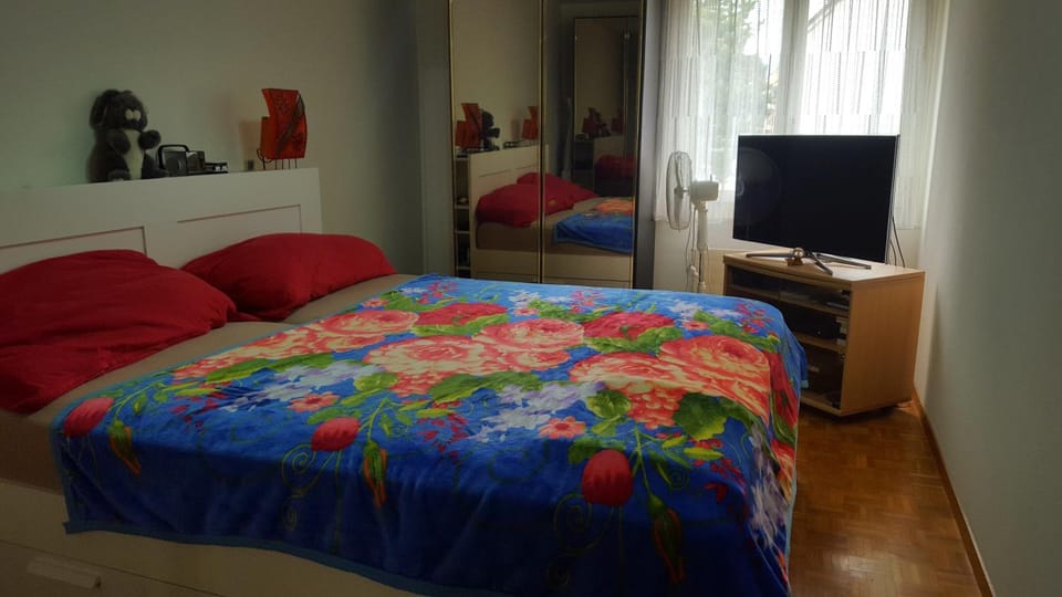 Appartement à partager avec couchage sur un grand matelas au sol Vacation rental in Canton of Vaud