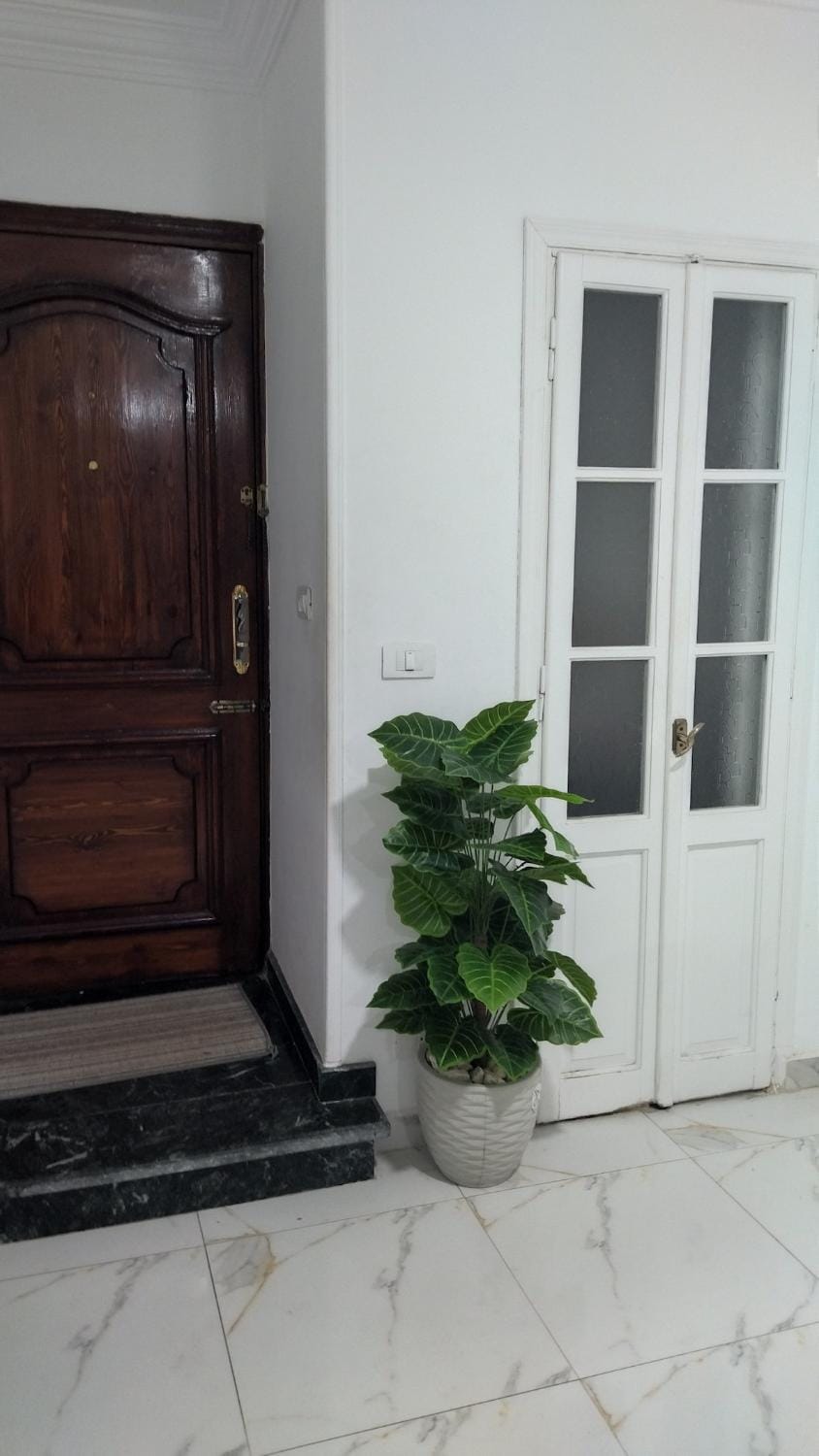 lovely & spacious apartment with 2 bedrooms 4 beds Apartment in Alexandria